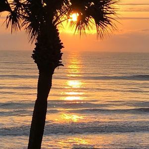 Meet your Posher, Gene